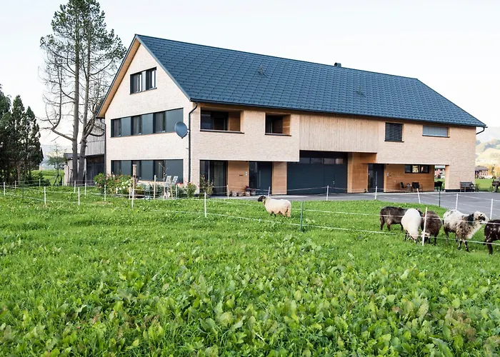 R45 Apartment Andelsbuch